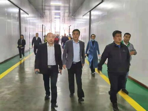 深化南北合作，共拓農(nóng)業(yè)新篇——東莞市河南商會赴黑龍江商務(wù)考察紀實
